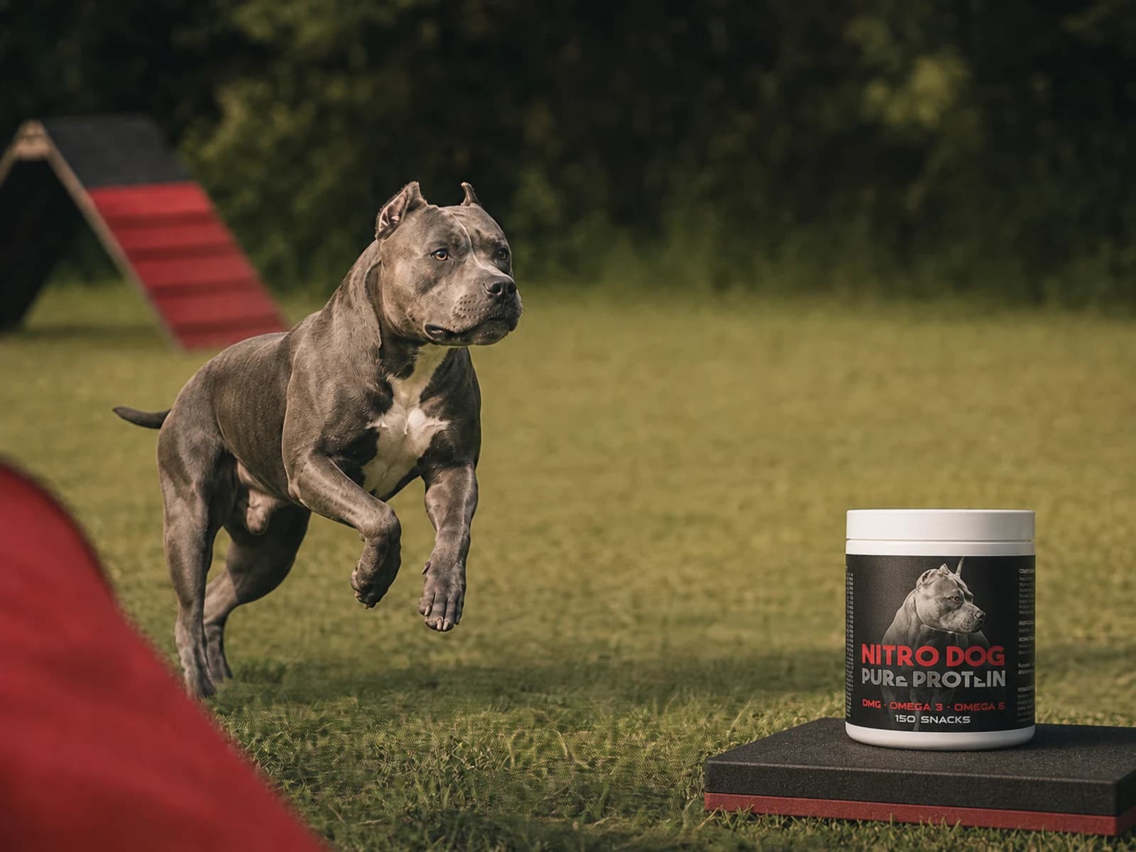Suplemento para Cachorro Nitro Dog Pure Protein 150 Snacks — Massa para o cão que se exercita