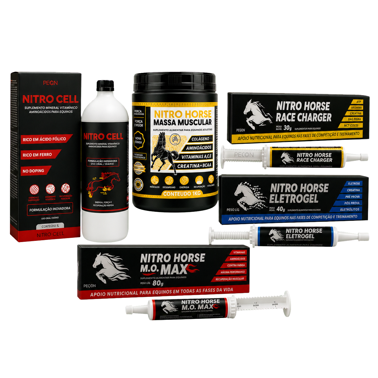 KIT VAQUEJADA